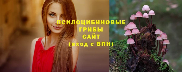 прущая мука Каменногорск