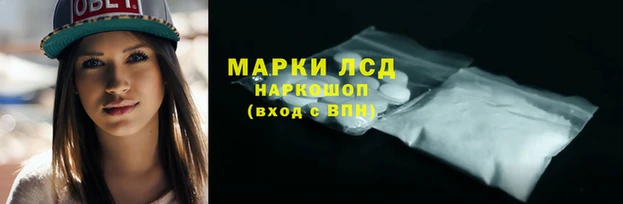 ешки Инта
